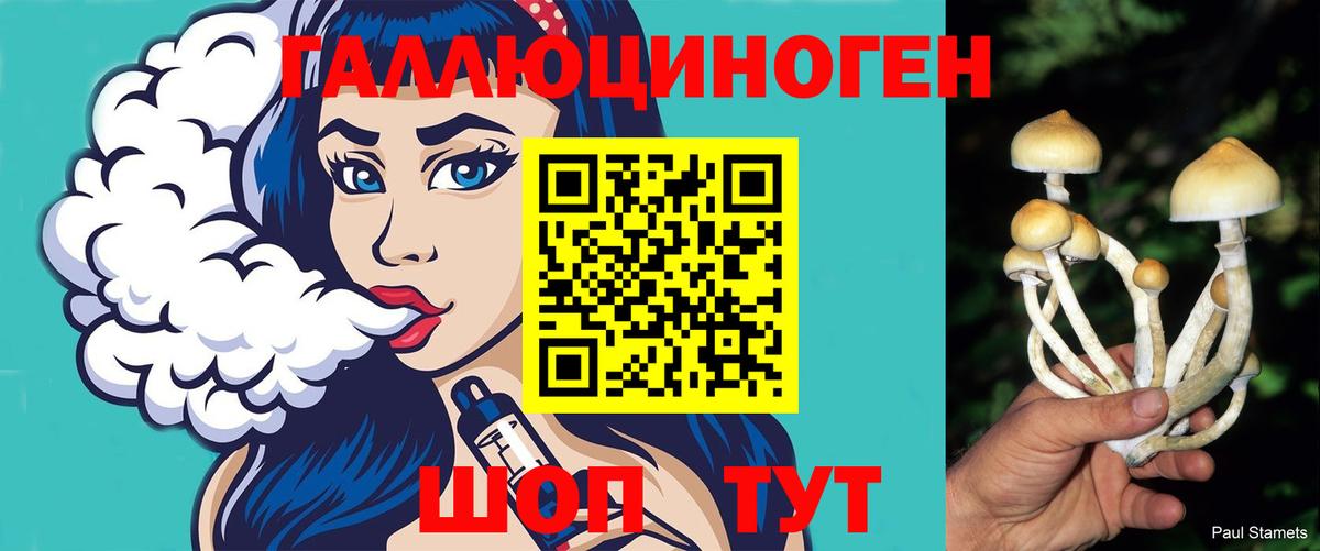 Псилоцибиновые грибы MAGIC MUSHROOMS  закладка  Топки  Вход с VPN 