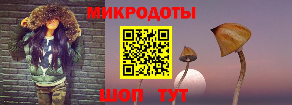 Галлюциногенные грибы Psilocybine cubensis Топки
